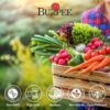 Heirloom Vegetable Seeds, Variety Pack with 35 Varieties of Plant Seeds, 30,000+ Garden Seeds - Mixed Non-Gmo Seeds with Select Varieties of Lettuce, Beans, Tomatoes, Peppers, Squash and More - Image 3