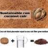 50Pcs(30Mm) Compressed Coco Coir Fiber Potting Soil- Coir Medium, Coconut Soil for Indoors or Outdoors, Bonsai, Herbs, Plants, Flowers and Vegetables - Image 3
