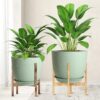 Plant Pots 10/9/8 Inch, Set of 3 Modern Decorative Plastic Planters with Drainage Holes and Saucers for House Plants Indoor Flowers Plants, Green - Image 6