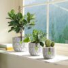 Plant Pots Indoor 6.7/5.7/4.5 Inch 3D Carved Design Flower Pot, Handmade in Polyethylene Material, White - Image 6