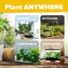 27,500+ Heirloom Vegetable & Fruits | 55 Variety Garden Survival Gear and Supplies Prepper Supplies | Non GMO Gardening Seed Starter Kit | Gifts for Men Women - Image 4