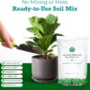 Fiddle Leaf Fig Potting Soil Mix by Fiddle Leaf Fig Plant Resource | Premium Organic Soil with Enhanced Drainage for Fast Growth and Healthy Roots (Large Bag) - Image 5