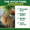 Organic Cactus Potting Soil Mix, Natural & Organic Soil for Cactus, Succulent, Palm, and Citrus Grown in Containers Both Indoors and Outdoors, 4 Qt, Pack of 1 - Image 4