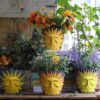 Sun Face Planters Pots Head Unique Head Planter with Drainage, Cute Flower Plant Pot for Indoor & Outdoor Plants, Funny Succulent Gardening Pots for Plant Lover Gifts (Purple Back,5.5Inch) - Image 6
