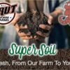 Brut Super Soil Potting Mix – 21 Quarts – Rich, Dark All-Purpose Soil – Convenient, Ready to Use Right from the Bag.– Healthy and Natural - Image 2