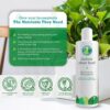 Indoor Plant Food by  - Organic Liquid Fertilizer for Pothos, Peace Lily, Monstera, Cactus and More - 16Oz - Image 3