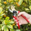 Classicpro 8.5" Professional Premium Titanium Bypass Pruning Shears - Use as Pruners, Garden Shears, Heavy Duty Handheld Pruning Shears for Gardening, Clippers, Pruning Scissor Tool - Image 9