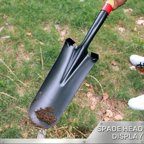 Spade Shovel,Transplanting Spade，Drain Spade,Spade Shovels for Digging,Sharp Shooter Shovel or Spade,45Inch,Stell D-Grip,Wooden Handle - Image 6
