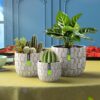 Plant Pots Indoor 6.7/5.7/4.5 Inch 3D Carved Design Flower Pot, Handmade in Polyethylene Material, White - Image 7