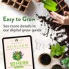 10 Culinary Herb Seeds - Non-Gmo, Heirloom Seeds - 3000+ Seeds for Planting for Outdoor or Indoor Herb Garden, Basil, Cilantro, Parsley, Chives, Thyme, Oregano, Dill, Marjoram, Mint, Tarragon - Image 6