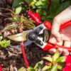 Enduropro Ergonomic Bypass Pruners - Professional Titanium Garden Shears - Heavy Duty Hand Pruning Scissor, Tree Trimmer, Gardening Tool, Branch, Hedge, Rose, Shrub & Bush Clippers - Image 8