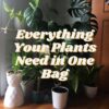 Foxfarm Ocean Forest Potting Soil Mix Indoor Outdoor for Garden and Plants | Plant Fertilizer | 12 Quarts |  Stake - Image 5