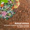 Potting Soil Mix 9Quart, Organic Soil Mix Orchid Bark, Sphagnum Moss and Leca Clay Pebbles for Indoor Plants, Orchid Fertilizer Garden Soil for Root Development, Improve Drainage and Aeration - Image 2