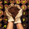 Coco Bliss Coco Coir - Compressed Coco Coir Bricks with Low EC and Ph Balance - High Expansion Coco Fiber for Herbs, Flowers, Planting - OMRI Listed Renewable Coconut Soil (650 Grams, 1 Brick) - Image 7