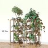 Plant Stand Indoor, Outdoor Wood Plant Stands for Multiple Plants, Plant Shelf Ladder Table Plant Pot Stand for Living Room, Patio, Balcony, Plant Gardening Gift - Image 4