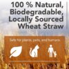 Premium Garden Straw (4 LBS) - Straw Mulch That Is Designed for Use in Compost Beds, Gardens, Pet Bedding, Lawns and Much More. by - Image 6
