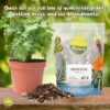Cactus and Succulent Potting Mix (8 Quarts), Special Blend-Fast Draining and Desert-Style Gritty - Image 9
