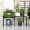 2 Pack Metal Plant Stand for Indoor and Outdoor Plant Shelf, Multi-Functional Adjustable Shelf Plant Stands Flower Stands with Hanger Rod for Living Room Balcony and Garden,Black - Image 3