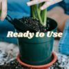 Foxfarm Ocean Forest Potting Soil Mix Indoor Outdoor for Garden and Plants | Plant Fertilizer | 12 Quarts |  Stake - Image 2