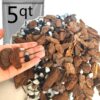 Mix Pine Bark and Perlite, Orchid Potting Mix Orchid Bark (Middle, 5Qt)