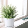 Set of 2 Plants Pot, 6 Inch Ceramic Planter Pot for Plants with Drainage Hole and Saucer, White, 94-V-S-1 - Image 5