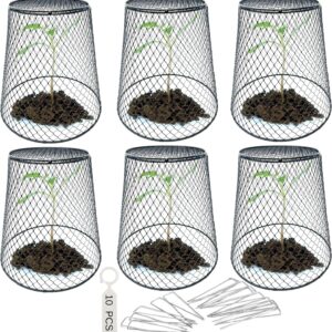 Chicken Wire Plant Cover – 6 Garden Cloche Baskets, Cage Protectors from Animals and Rabbits, Includes 18 Garden Stakes and 10 Waterproof Labels (Black)