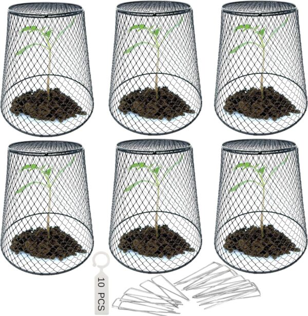 Chicken Wire Plant Cover – 6 Garden Cloche Baskets, Cage Protectors from Animals and Rabbits, Includes 18 Garden Stakes and 10 Waterproof Labels (Black)