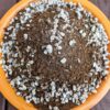Aloe Vera Plant Potting Soil Mix Peat Moss & Perlite (½ Gallon / 2 Quarts). - Image 9
