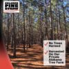 Longleaf Pine Straw Roll for Landscaping - Non-Colored - Covers up to 125 Square Feet - Image 2