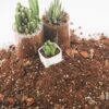 Potting Soil Mix 9Quart, Organic Soil Mix Orchid Bark, Sphagnum Moss and Leca Clay Pebbles for Indoor Plants, Orchid Fertilizer Garden Soil for Root Development, Improve Drainage and Aeration