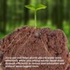 13.8 Gallons Coco Coir Brick for Plants- 6 Pack Premium 100% Organic Peat Moss Mix with Low EC & Ph Balance, Fiber Coconut Husk for Planting, Gardening, Potting Soil Substrate(8.4 Pounds) - Image 5