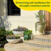 Cactus Soil Potting Mix Succulent Soil Potting Mix Potting Soil for Succulents Indoor Cactus Potting Soil Succulent Potting Mix Succulent Potting Soil for Succulents Indoor Plants Well Draining Gritty - Image 6