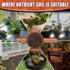 Potting Soil Mix - 3QT Soil for Indoor Plants, All Natural and Organic Plant Soil for Seed Starting, Loose and Breathable Garden Soil for Spices, Herbs & Vegetables - Image 6