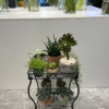 2 Tier 18.7'' Tall Rectangular Metal Plant Stand Rack for Small Pot Plants,Black - Image 3