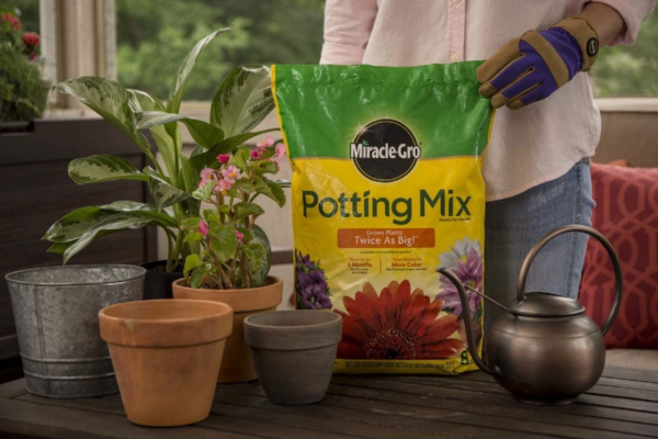 Potting Mix, 8 Qt. (2 Pack) - Image 6
