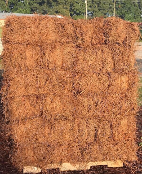 USA Pine Straw - Pine Needle Mulch - Premium Long Needle - Covers (Covers 3200 Sqf- 1 Set) - Image 2