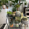 2 Tier 18.7'' Tall Rectangular Metal Plant Stand Rack for Small Pot Plants,Black - Image 2