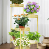 Plant Stand Indoor Outdoor 6 Tier 35.5'' Tall Metal Plant Rack Organizer 6 Flower Pot Holder Shelves Planter Display Storage Bathroom Office Living Room Balcony Corner(Gold) - Image 9