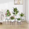 Plant Stands-5 PCS Heavy Duty Flower Pot Stands, Anti-Rust Metal round Shelf, Flower Pot Stands for Room Indoor and Outdoor Courtyard, Gardens. - Image 6