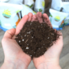 Bird of Paradise Potting Soil Mix (8 Quarts), All Natural Mix for Indoor/Outdoor Container Tropical Plants - Image 4
