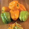 Flavorburst Orange Bell Pepper Plant- Two (2) Live Plants – Non - GMO Not Seeds – in 3.5 Inch Pots - Image 3