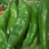 Anaheim Pepper Plant- Two (2) Live Plants – Not Seeds – in 3.5 Inch Pots