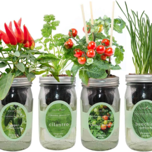 Hydroponic Mason Jar Indoor Garden Organic Seed Starter Kits - Zesty Salsa Growing Kits, Gardening Gift (Jalapeno Pepper, Cilantro, Cherry Tomato - Tiny Tim, Bunching Onion)