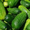 50 Straight Eight Cucumber Seeds - Heirloom Non-Gmo USA Grown Vegetable Seeds for Planting - Pickling and Slicing Cucumber - Image 4