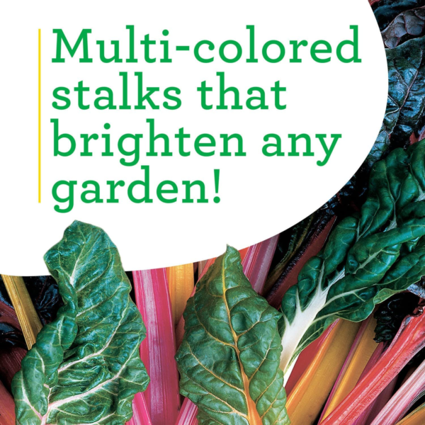 Swiss Chard 19.3 Oz. 4-Pack - Image 4