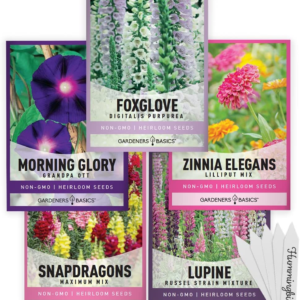 Hummingbird Seeds for Planting Outdoors Flower Seeds (5 Variety Pack) Zinnia, Foxglove, Lupine, Morning Glory, Snapdragons Varieties for Bees, Pollinators Wildflower Seed by