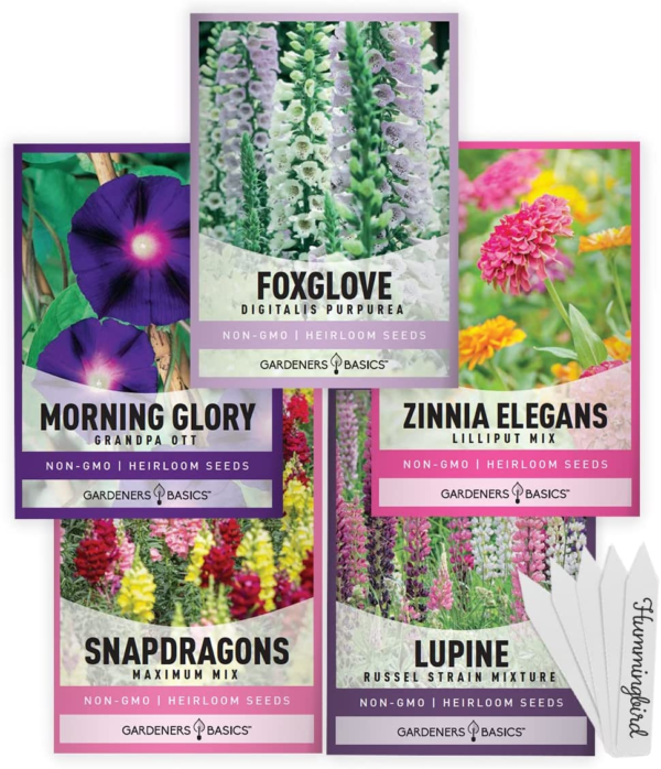 Hummingbird Seeds for Planting Outdoors Flower Seeds (5 Variety Pack) Zinnia, Foxglove, Lupine, Morning Glory, Snapdragons Varieties for Bees, Pollinators Wildflower Seed by