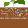 Brut Organic Worm Castings – 30 Lb – Garden'S Elixir for Thriving Blooms & Harvests! - Image 8