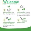 Onion Chives - 4 Pack Live Plants, Perennial in Zones 3 - 10, Non-Gmo, Great for Salads, Soups, Potatoes & More - Image 8