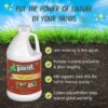 Organic Soil Conditioner & Root Booster for Plants - Concentrated Liquid Biostimulant with Fulvic Humic Acid for Plants, Potting Soil, Flowers & Lawns - 60Oz - Image 2
